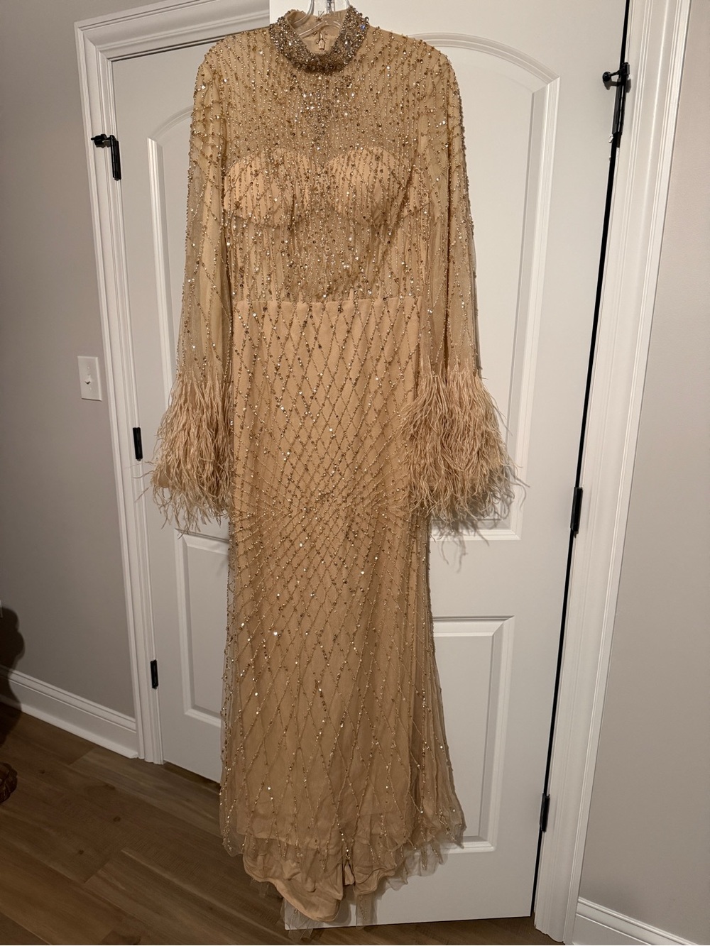 Embellished Feather-Sleeve Maxi Dress in Beige